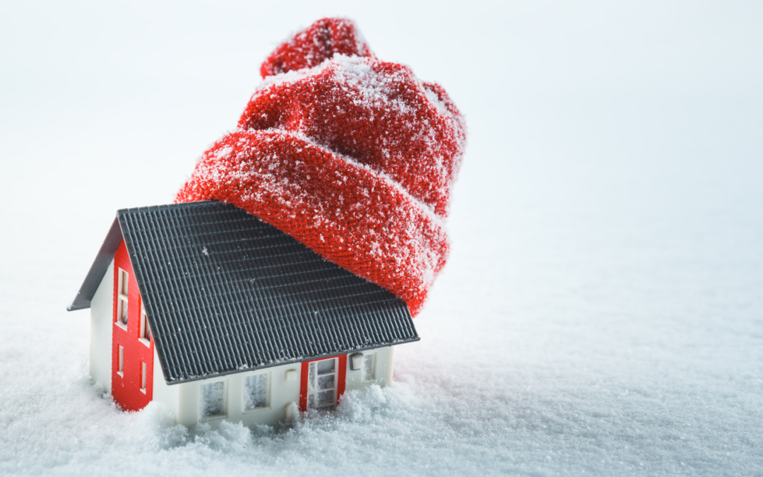 Net Carbon Neutrality and Winterizing Your Home
